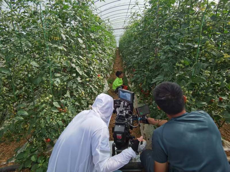 新荣区产品宣传视频拍摄公司进阶指南，助力品牌抢占传播高地